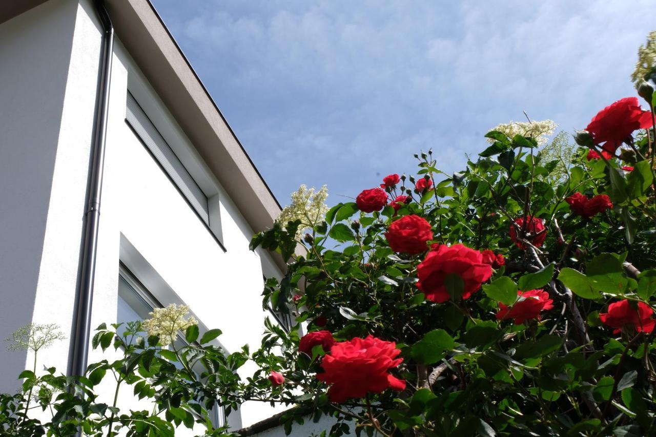 Vahrn Apartment Le Rose Di Marianne - Sud מראה חיצוני תמונה
